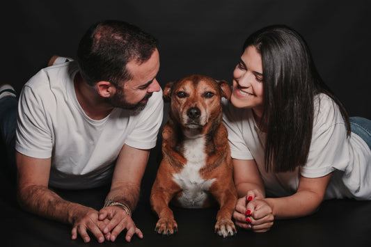 FOTOGRAFÍA MASCOTAS