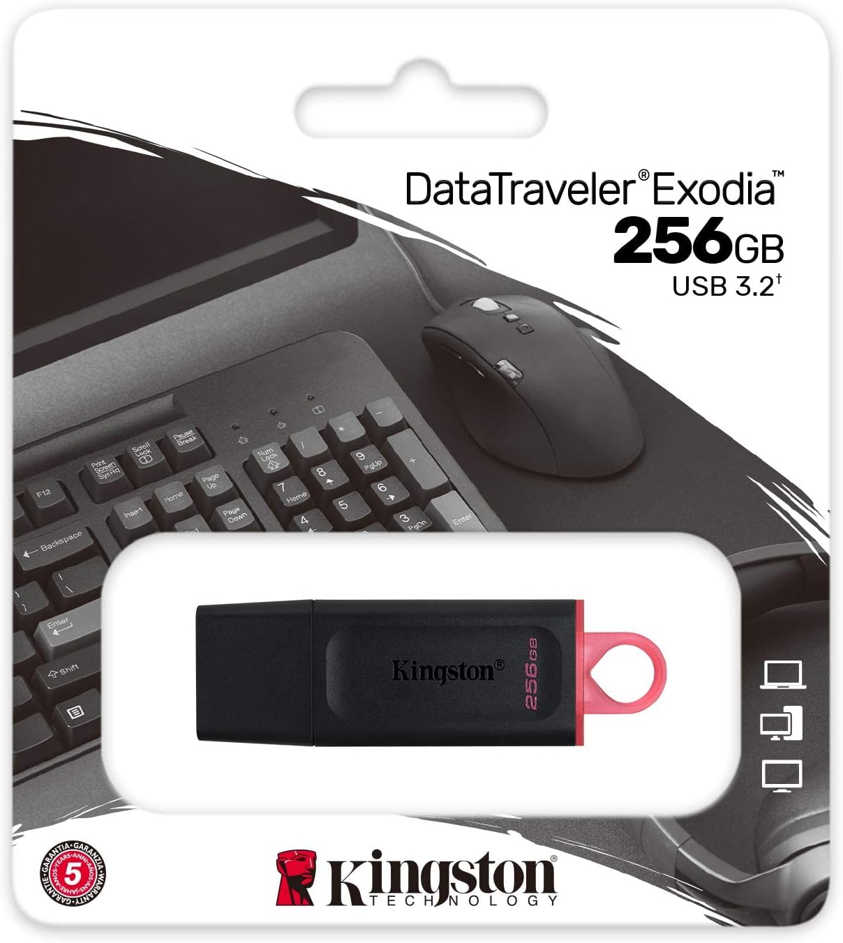 PENDRIVE 256GB KINGSTON