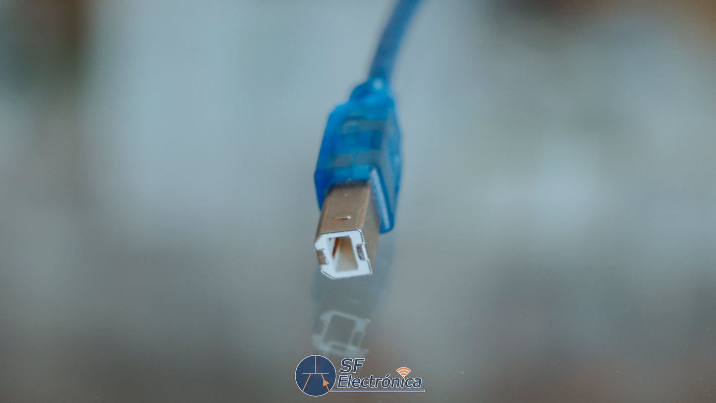 CABLE USB A TIPO A 30 CM