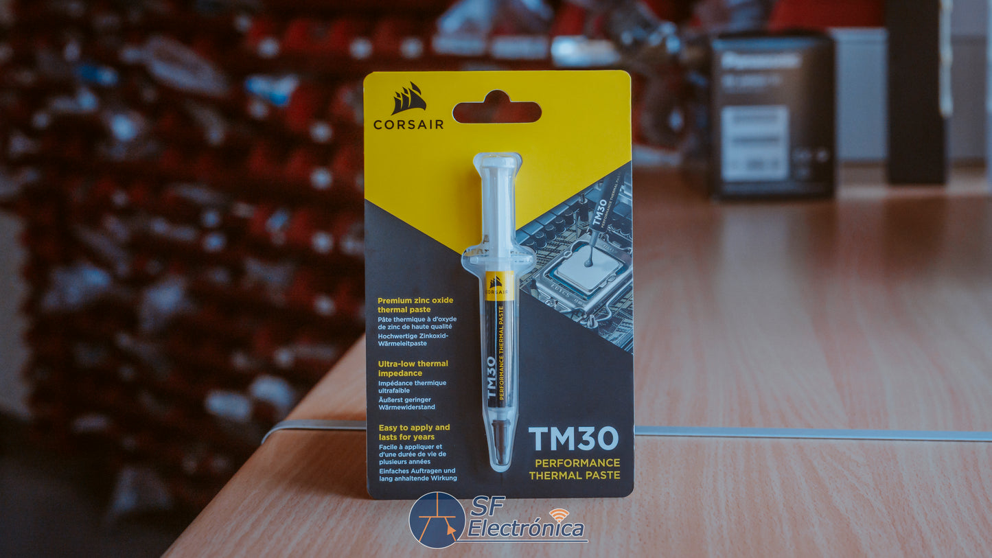 PASTA TERMICA TM30