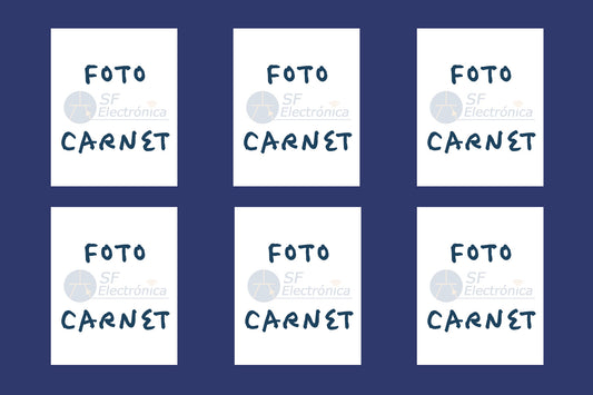 FOTOS CARNET